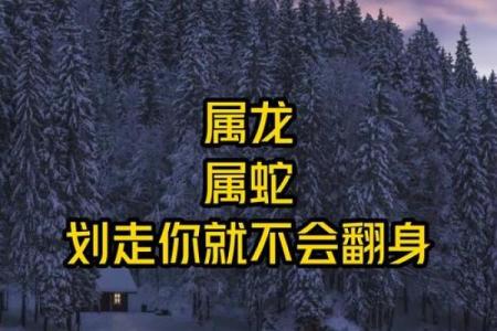 龙前蛇后是什么生肖 龙前蛇后打一生肖