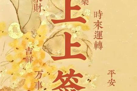 1981年属鸡的人在2025年如何寻找事业贵人相助