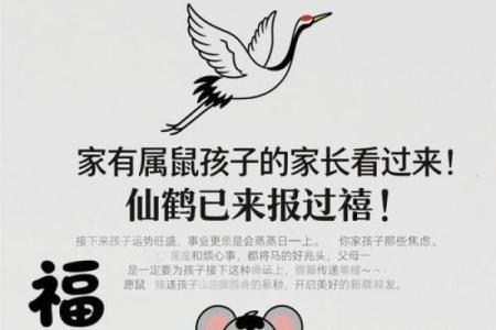 鹤发童颜指什么生肖 鹤发童颜打一生肖答案
