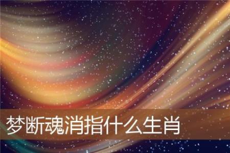 飞蛾扑火打一准确生肖 飞蛾扑火代表什么生肖