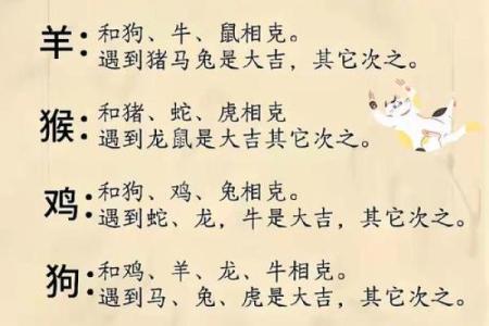 逍遥法外是什么生肖 逍遥法外打一生肖答案