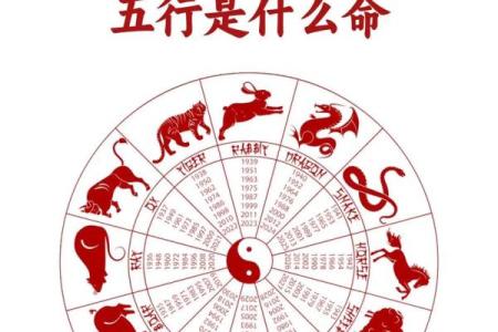 过耳秋风是什么生肖 过耳秋风指什么动物生肖