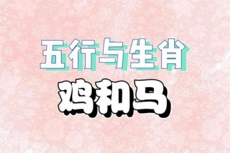 属鸡和属鸡的夫妻婚姻长久吗？如何化解生肖相同冲突