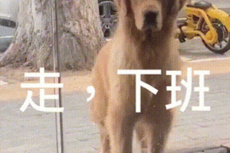 阴阳怪气”打一生肖是什么 阴阳怪气对应生肖查询