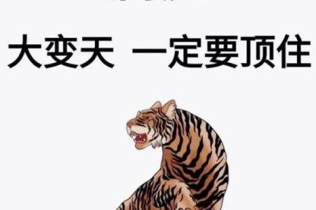骑虎难下打一动物生肖 骑虎难下指什么生肖动物