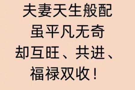 鸡犬相邻打一生肖 鸡犬相邻指什么生肖