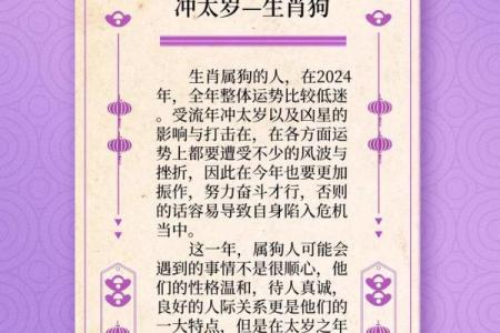 属狗的人今年感情婚姻运势怎么样，需要注意哪些问题？