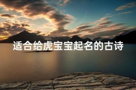 风华正茂打一生肖是什么动物 风华正茂指什么生肖动物