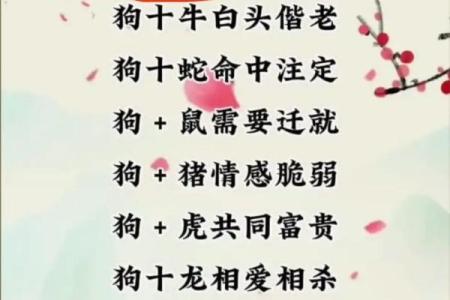 属狗和属鸡的婚姻配对真的合适吗？从性格角度分析优缺点