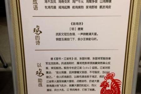 鸡零狗碎是什么生肖 鸡零狗碎打一生肖答案