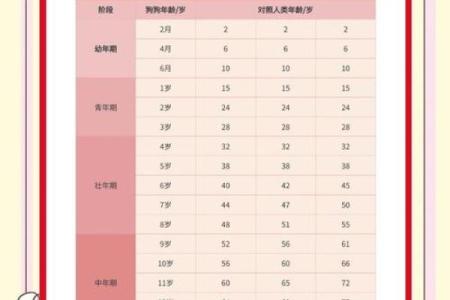 属狗的人2025年具体年龄是多少岁，如何计算虚岁和周岁？