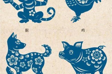 韶光似箭打一正确生肖 韶光似箭指什么生肖动物