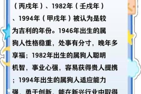 属狗的人2025年运势详解，财运和事业运如何发展？