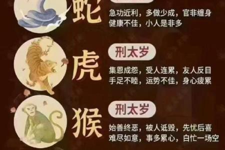 2025年属龙的人适合添丁吗有哪些需要注意的风水禁忌和讲究