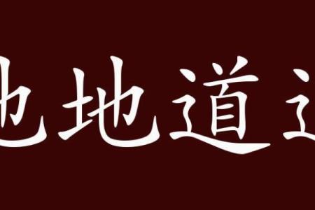 道道地地指什么生肖 道道地地打一生肖答案