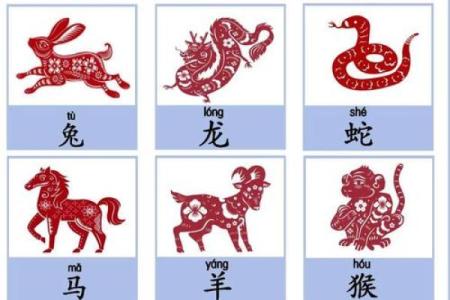 邑犬群吠打一正确生肖 邑犬群吠指什么生肖