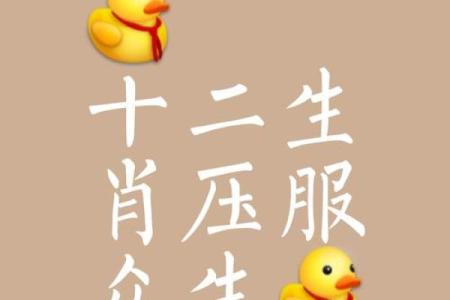 静中思动是什么生肖 静中思动打一生肖
