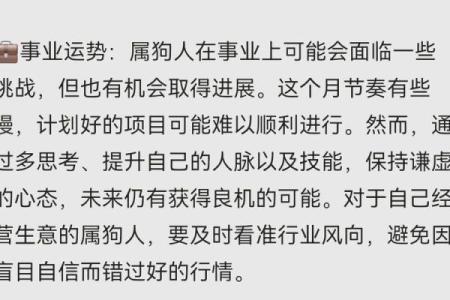 1958年属狗女在2024年财运和事业运会有怎样的变化与发展