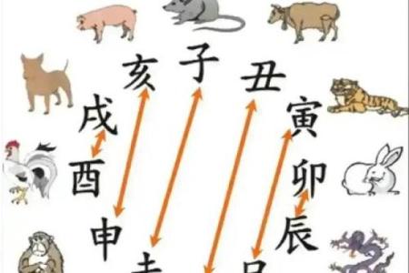 2025年属狗人全年每月运势详解：如何化解太岁影响提升运势？