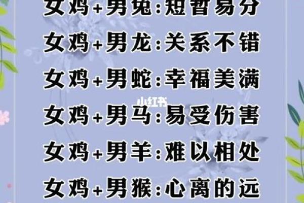 70年属狗的最佳配偶属相是什么，婚姻配对详解