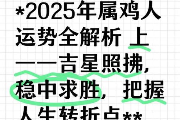 生肖属鸡的人2025年全年运势详解及每月运程完整版分析