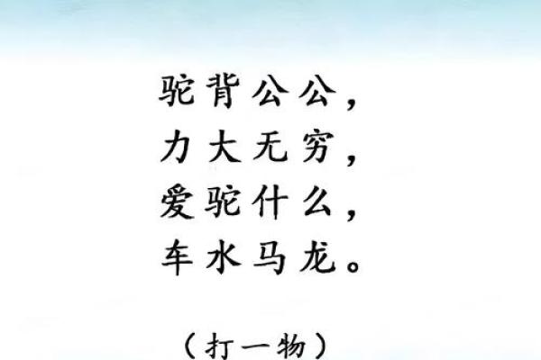 逗留不进猜一动物 谜语逗留不进打一动物