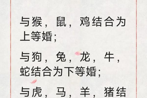 1988年属龙人2025年每月运势及运程完整版详解