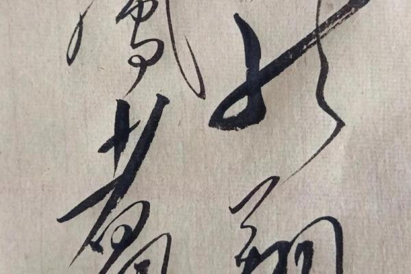 龙翔凤翥是什么生肖 龙翔凤翥生肖寓意解析