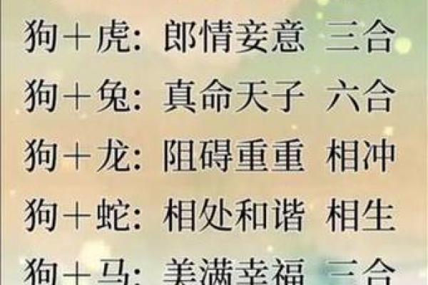属狗和属狗的婚姻配对如何？性格是否合适长久相处？