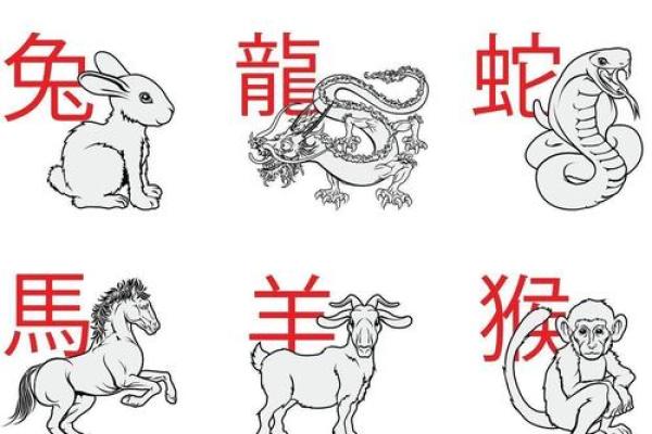 鼠肚鸡肠是什么生肖 鼠肚鸡肠对应哪个生肖