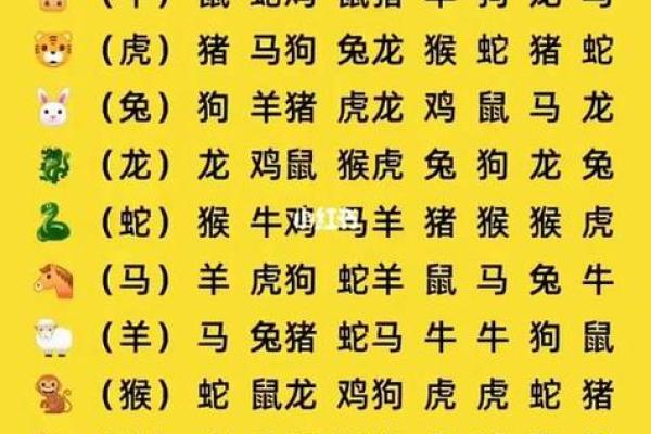 身强力壮打一个最佳生肖 十二生肖中哪个身体最强壮