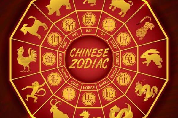 铜墙铁壁打一生肖 铜墙铁壁指什么生肖动物