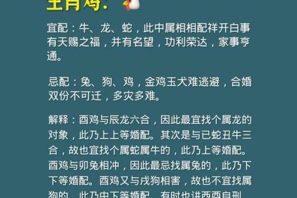 属鸡男的最佳婚配属相有哪些？详细解析婚姻幸福秘诀