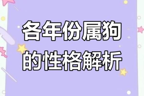 两个属狗的人结婚在性格和运势上是否相配，需要注意哪些方面？