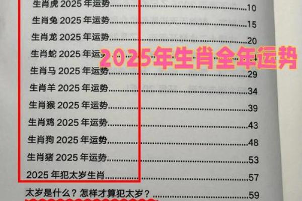 2025年鸡年1993年出生的人运势如何？本命年得把眼睛擦亮了与开运指南