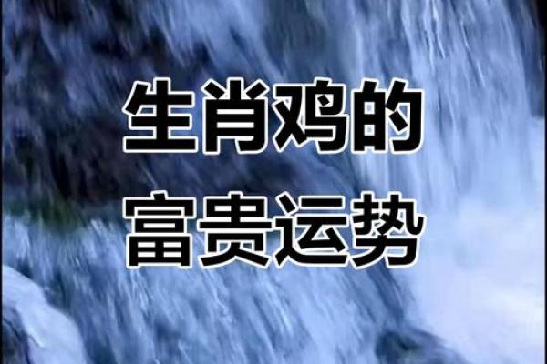 2025年属鸡者财运走势分析及投资建议指南
