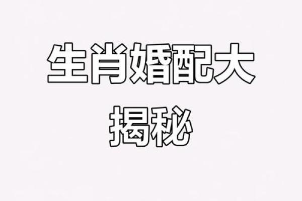 金玉良缘打一个生肖 金玉良缘生肖配对查询