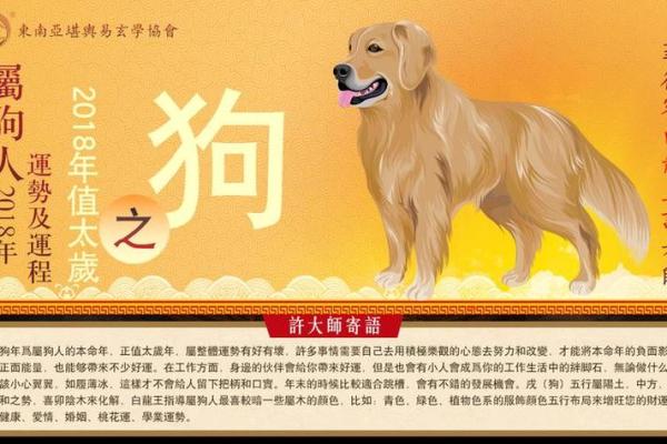 1994年属狗女2025年感情婚姻运势如何具体分析