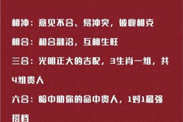 逍遥法外代表什么生肖 逍遥法外打一生肖
