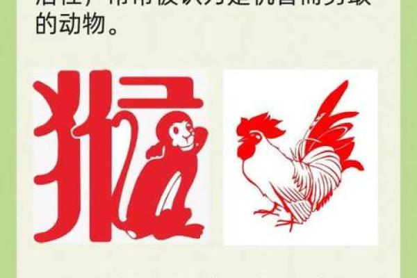 软硬不吃打一生肖 软硬不吃指什么生肖动物