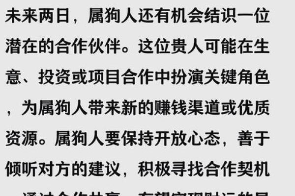 1982年属狗男2025年运势详解，婚姻感情会有转机吗
