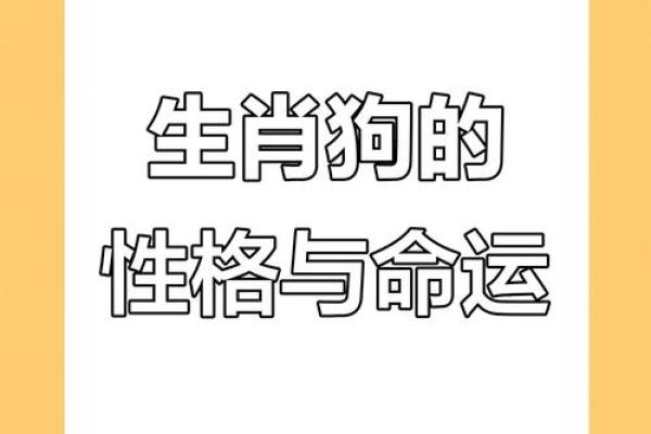 1994年属狗女2025年运势详解，婚姻感情会有新的突破吗