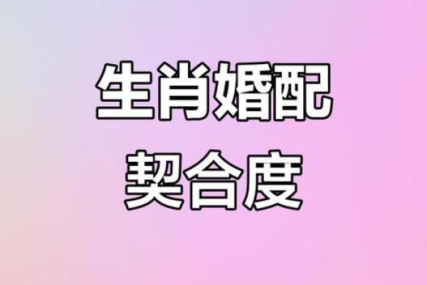 醇酒美人是什么生肖 生肖配对醇酒美人含义
