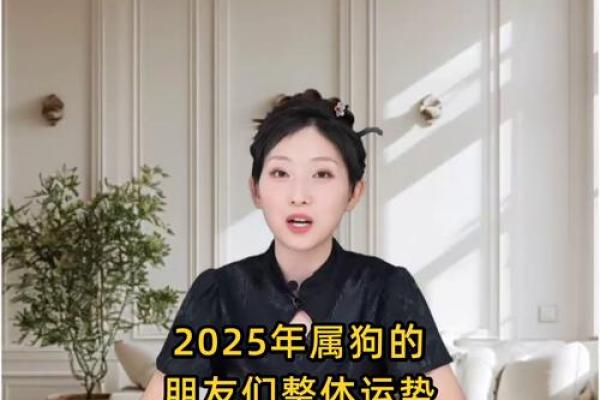2025年属狗人的事业财运健康感情运势如何？有什么破解方法？