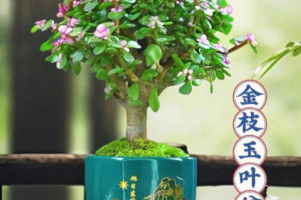 金枝玉叶是指什么生肖？ 金枝玉叶代表哪个生肖