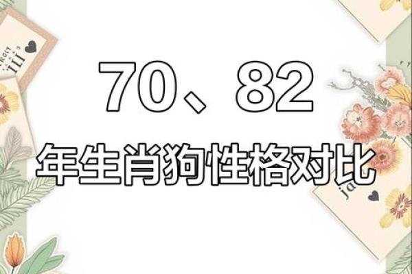 两个属狗的人婚姻配对会不会因为性格太相似而产生矛盾？