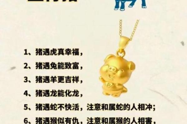 锦绣前程的最佳生肖 哪些生肖今年财运最好