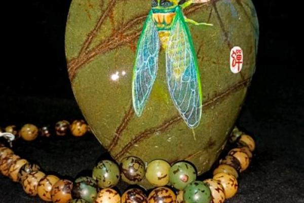 金蝉脱壳打一最佳动物 金蝉脱壳打一动物答案