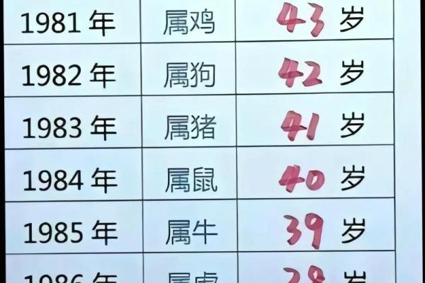 1981年属鸡的人今年虚岁和周岁分别多大了？