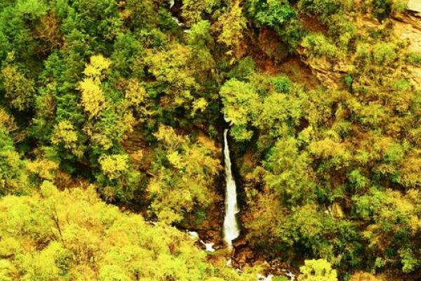 锦绣河山指什么生肖 锦绣河山打一生肖答案